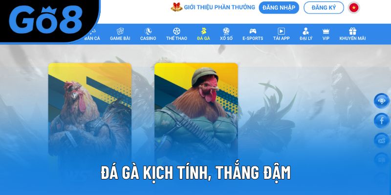 Đá gà kịch tính, thắng đậm